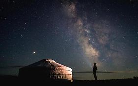 Kyzylkum Safari Yurt Camp