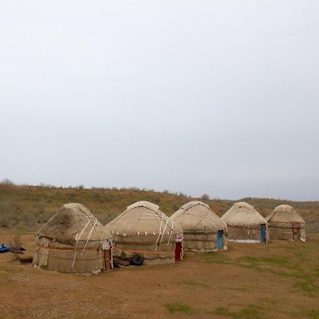 Hotel Kyzylkum Safari Yurt Camp Nurota Zewnętrze zdjęcie