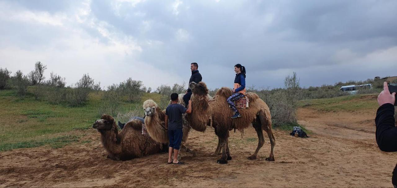 Hotel Kyzylkum Safari Yurt Camp Nurota Zewnętrze zdjęcie