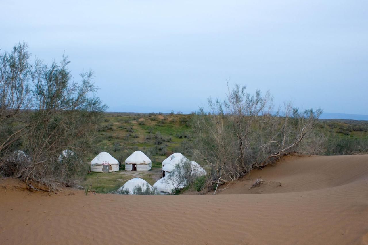 Hotel Kyzylkum Safari Yurt Camp Nurota Zewnętrze zdjęcie