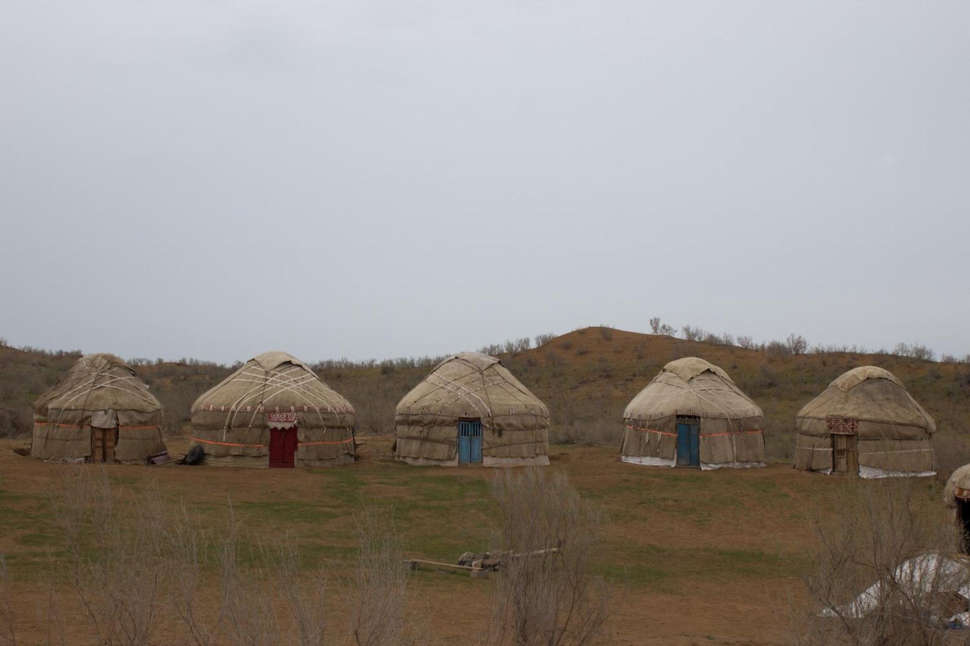 Hotel Kyzylkum Safari Yurt Camp Nurota Zewnętrze zdjęcie